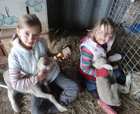 Bathurst Farm Experience - Hotel VIC 4