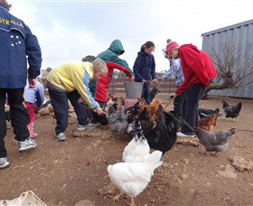 Bathurst Farm Experience - Hotel VIC 2