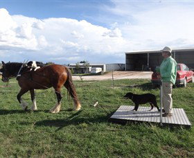 Bathurst Farm Experience - Hotel VIC 7