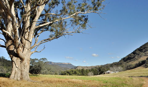 Capertee National Park - Hotel VIC 2