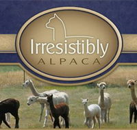 Marchmont Park Alpacas