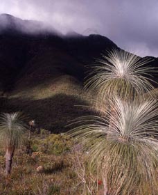 Bluff Knoll, Stirling Range National Park - Hotel VIC 3