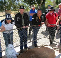 Fossil Rock - Hotel VIC