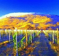 Surveyors Hill Winery