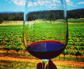 One Day Hunter Valley Day Tours And East Coast Adventures - Zepher Tours - Hotel VIC 4