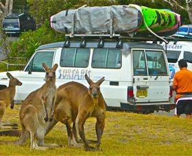 Surfaris Surf Camp - Hotel VIC 3