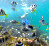EcoTreasures - Hotel VIC