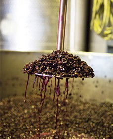 Quealy Winemakers - Hotel VIC 6