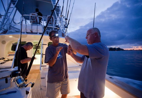 Amokura Charters - Hotel VIC 1