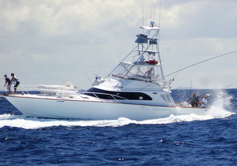 Amokura Charters - Hotel VIC 2