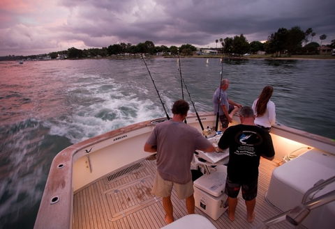 Amokura Charters - Hotel VIC 3