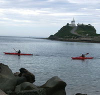 Newcastle Kayak Tours - Hotel VIC