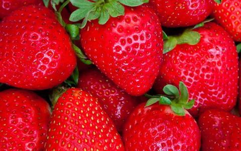 Newcastle City Farmers Markets - Hotel VIC 2