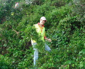 Conservation Volunteers Australia - Sydney - Hotel VIC 2