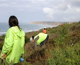 Conservation Volunteers Australia - Sydney - Hotel VIC 5