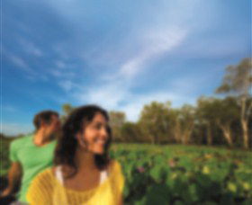 AAT Kings Guided Tours (Top End) - Hotel VIC 3