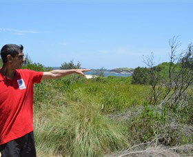 Kadoo Tours - Hotel VIC 0