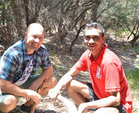 Kadoo Tours - Hotel VIC 2