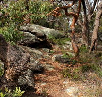 Box Head track - Hotel VIC
