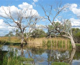 Lagoon Creek - Hotel VIC 0