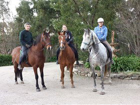Academy Of Dressage - Hotel VIC 0