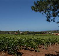 Grancari - Hotel VIC