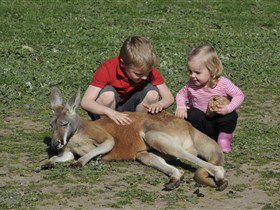 Hahndorf Farm Barn - Hotel VIC 3