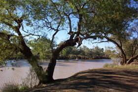 Charleville - Bakers Bend Warrego River Fishing Spot - Hotel VIC 1
