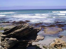 Canunda National Park - Hotel VIC 1