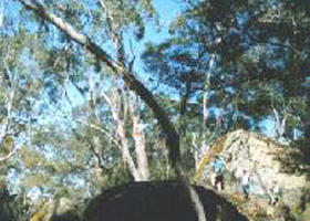 Dergholm VIC Hotel VIC