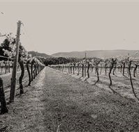 Halls Gap Estate - Hotel VIC