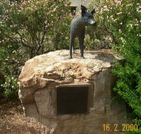 Dingo Statue - Hotel VIC