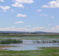 Fivebough Wetlands - Hotel VIC