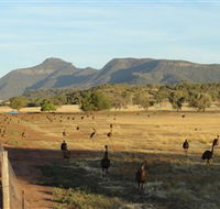 Emu Logic - Hotel VIC