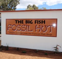 Big Fish Fossil Hut at Peak Hill - Hotel VIC