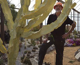 Cactus Country - Hotel VIC 0