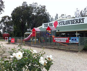 The Big Strawberry - Hotel VIC 0