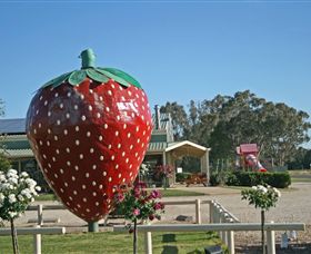 The Big Strawberry - Hotel VIC 2