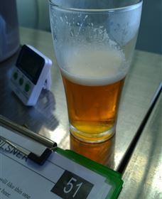 Goanna Brewing - Hotel VIC 1