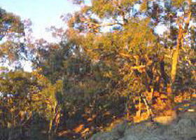 Mount Alexander Regional Park - Hotel VIC 0