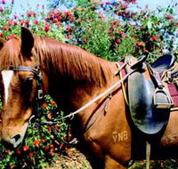 Western Plains Riding Centre - Hotel VIC