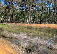Beni State Conservation Area - Hotel VIC