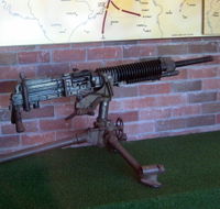 Woodpecker Gun - Hotel VIC