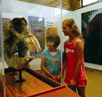 Australian Museum Diprotodon Exhibition - Hotel VIC