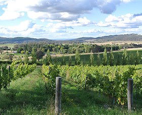 Sassy Wines - Hotel VIC 0
