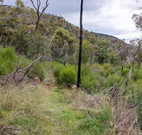 Lynchs loop trail - Hotel VIC