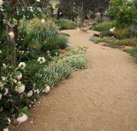 Perennialle Plants Nursery and Garden