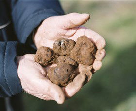 A Slice Of Orange - Hotel VIC 0