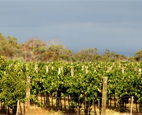 Amulet Vineyard And Beechworth Cider - Hotel VIC 7