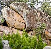 Frog Rock - Hotel VIC